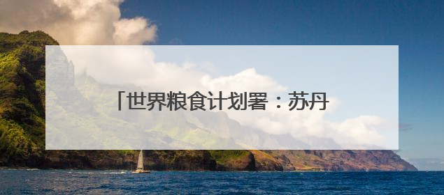 世界粮食计划署：苏丹首都面临严重饥荒风险