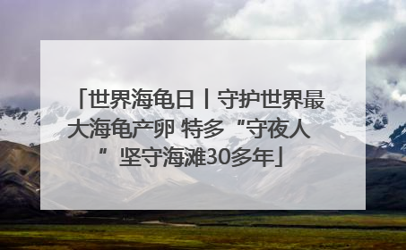 世界海龟日丨守护世界最大海龟产卵 特多“守夜人”坚守海滩30多年