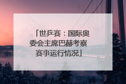 世乒赛：国际奥委会主席巴赫考察赛事运行情况