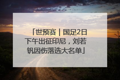世预赛｜国足2日下午出征印尼，刘若钒因伤落选大名单