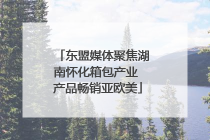 东盟媒体聚焦湖南怀化箱包产业 产品畅销亚欧美