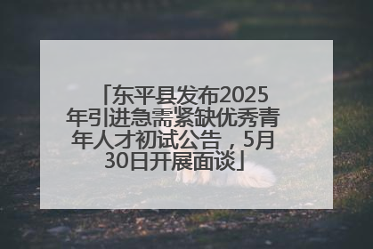 东平县发布2025年引进急需紧缺优秀青年人才初试公告，5月30日开展面谈