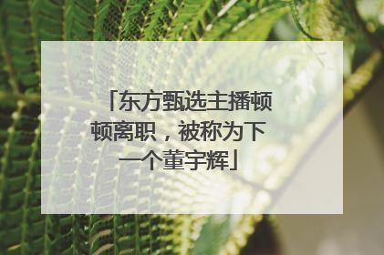 东方甄选主播顿顿离职，被称为下一个董宇辉