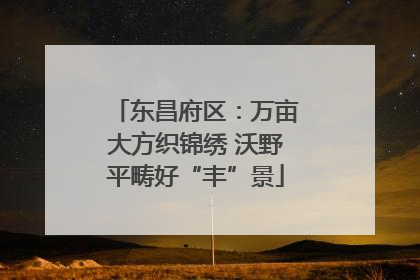 东昌府区：万亩大方织锦绣 沃野平畴好“丰”景