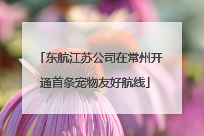 东航江苏公司在常州开通首条宠物友好航线