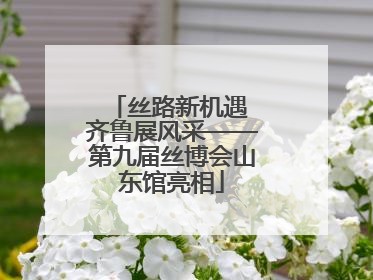 丝路新机遇 齐鲁展风采——第九届丝博会山东馆亮相