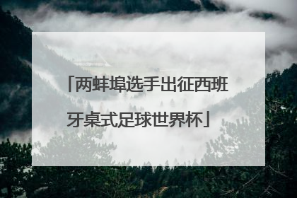 两蚌埠选手出征西班牙桌式足球世界杯