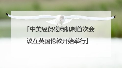 中美经贸磋商机制首次会议在英国伦敦开始举行