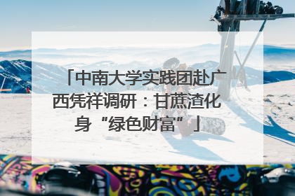 中南大学实践团赴广西凭祥调研：甘蔗渣化身“绿色财富”