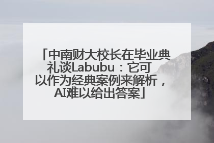 中南财大校长在毕业典礼谈Labubu：它可以作为经典案例来解析，AI难以给出答案