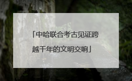 中哈联合考古见证跨越千年的文明交响