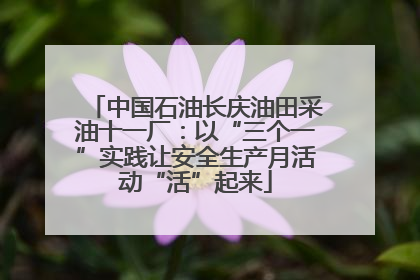 中国石油长庆油田采油十一厂：以“三个一”实践让安全生产月活动“活”起来