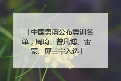 中国男篮公布集训名单，周琦、曾凡博、雷蒙、廖三宁入选