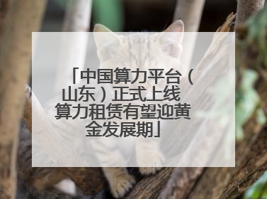 中国算力平台（山东）正式上线 算力租赁有望迎黄金发展期