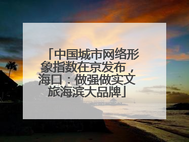 中国城市网络形象指数在京发布，海口：做强做实文旅海滨大品牌