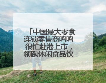 中国最大零食连锁零售商鸣鸣很忙赴港上市，领跑休闲食品饮料赛道