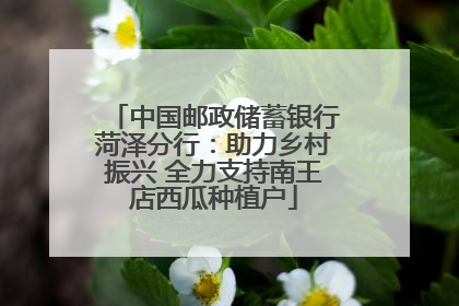 中国邮政储蓄银行菏泽分行：助力乡村振兴 全力支持南王店西瓜种植户