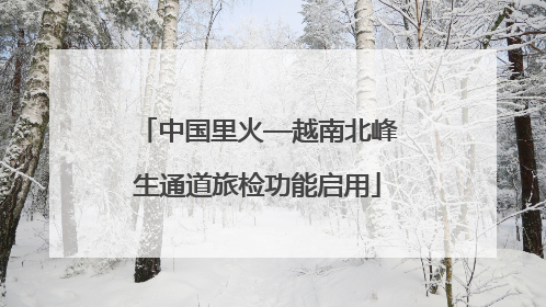 中国里火—越南北峰生通道旅检功能启用