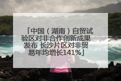 中国（湖南）自贸试验区对非合作创新成果发布 长沙片区对非贸易年均增长141%