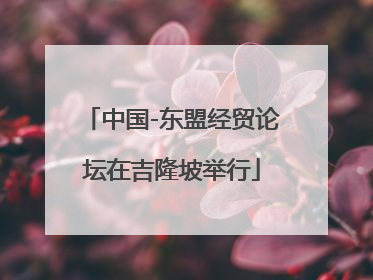 中国-东盟经贸论坛在吉隆坡举行