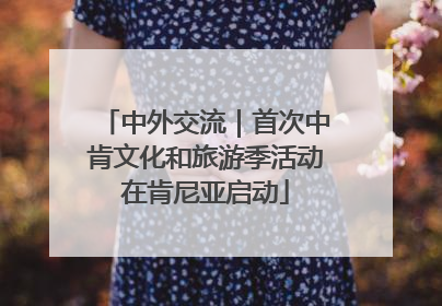中外交流｜首次中肯文化和旅游季活动在肯尼亚启动