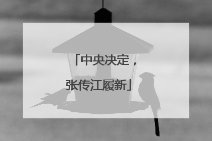 中央决定，张传江履新