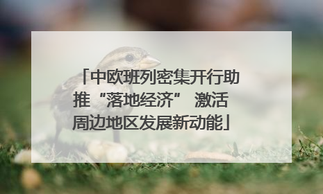中欧班列密集开行助推“落地经济” 激活周边地区发展新动能