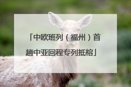 中欧班列（福州）首趟中亚回程专列抵榕