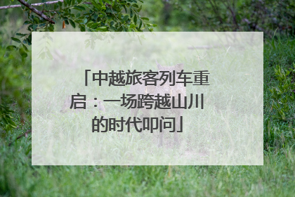 中越旅客列车重启：一场跨越山川的时代叩问