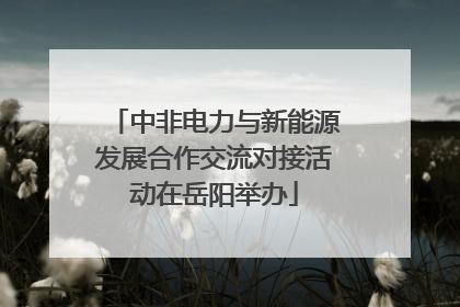 中非电力与新能源发展合作交流对接活动在岳阳举办