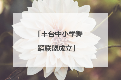 丰台中小学舞蹈联盟成立
