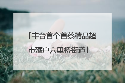 丰台首个首蔡精品超市落户六里桥街道