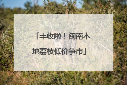 丰收啦！闽南本地荔枝低价争市