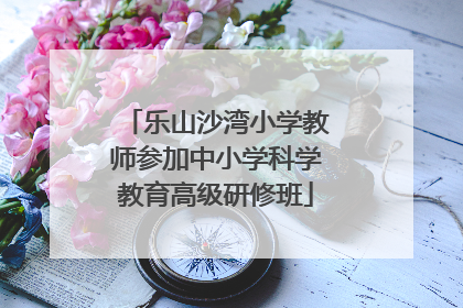 乐山沙湾小学教师参加中小学科学教育高级研修班