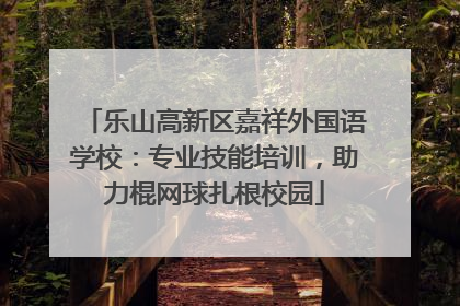 乐山高新区嘉祥外国语学校：专业技能培训，助力棍网球扎根校园