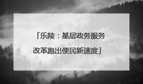 乐陵：基层政务服务改革跑出便民新速度