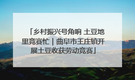 乡村振兴号角响 土豆地里竞赛忙｜曲阜市王庄镇开展土豆收获劳动竞赛