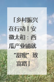 乡村振兴在行动丨安徽太和：西瓜产业铺就“甜蜜”致富路