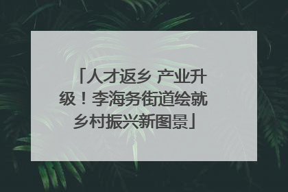 人才返乡 产业升级！李海务街道绘就乡村振兴新图景