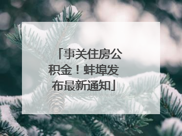 事关住房公积金！蚌埠发布最新通知