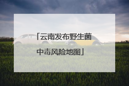 云南发布野生菌中毒风险地图