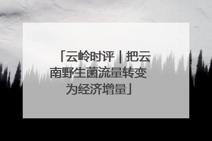 云岭时评｜把云南野生菌流量转变为经济增量