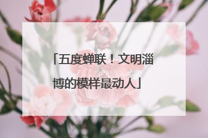 五度蝉联！文明淄博的模样最动人