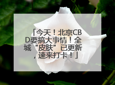 今天！北京CBD要搞大事情！全城“皮肤”已更新，速来打卡！