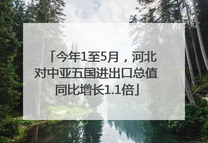 今年1至5月，河北对中亚五国进出口总值同比增长1.1倍