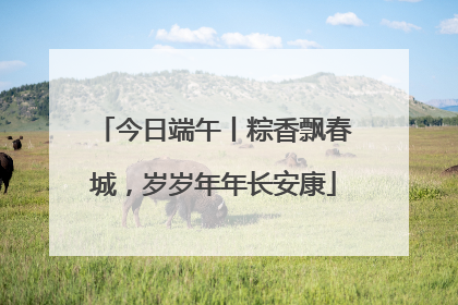 今日端午丨粽香飘春城，岁岁年年长安康