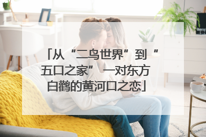 从“二鸟世界”到“五口之家” 一对东方白鹳的黄河口之恋