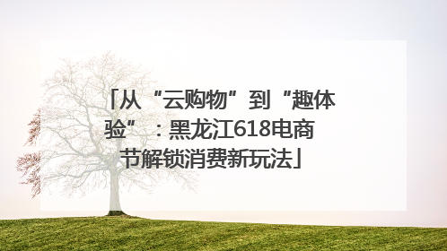 从“云购物”到“趣体验”：黑龙江618电商节解锁消费新玩法