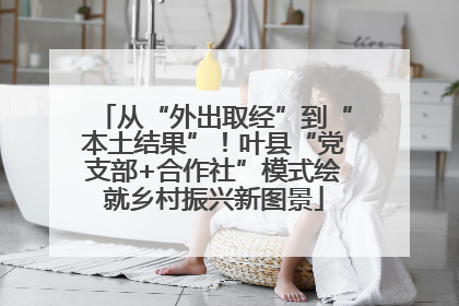 从“外出取经”到“本土结果”！叶县“党支部+合作社”模式绘就乡村振兴新图景