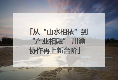 从“山水相依”到“产业相融” 川渝协作再上新台阶
